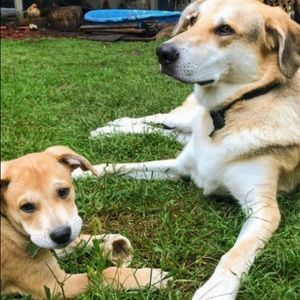 Meet your Posher, Amelia